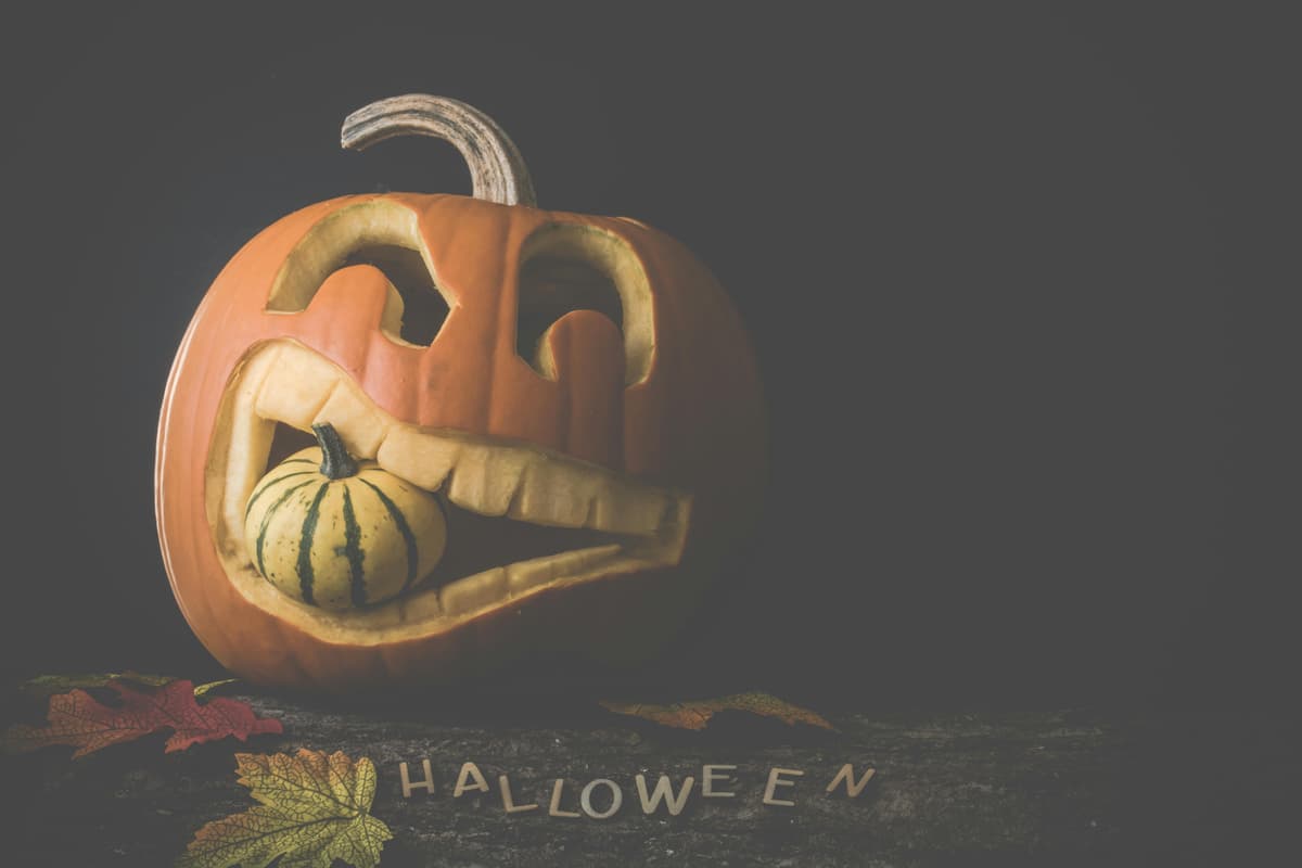 Trick or Treat Party