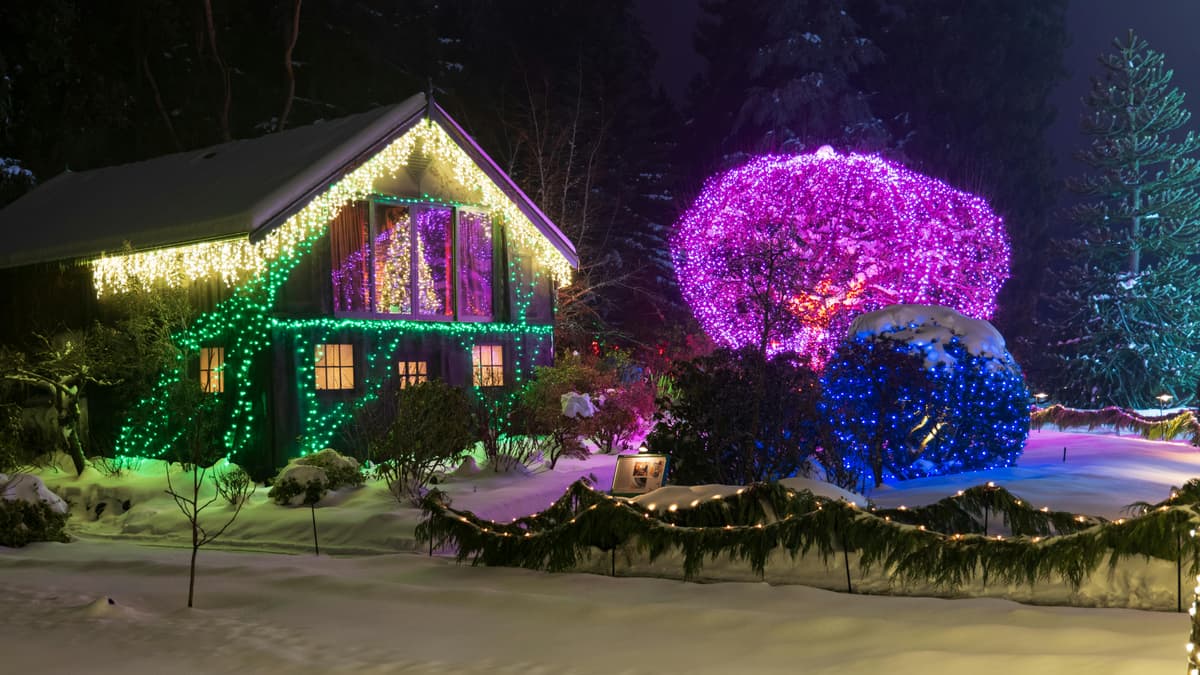 Light Up Lynnview