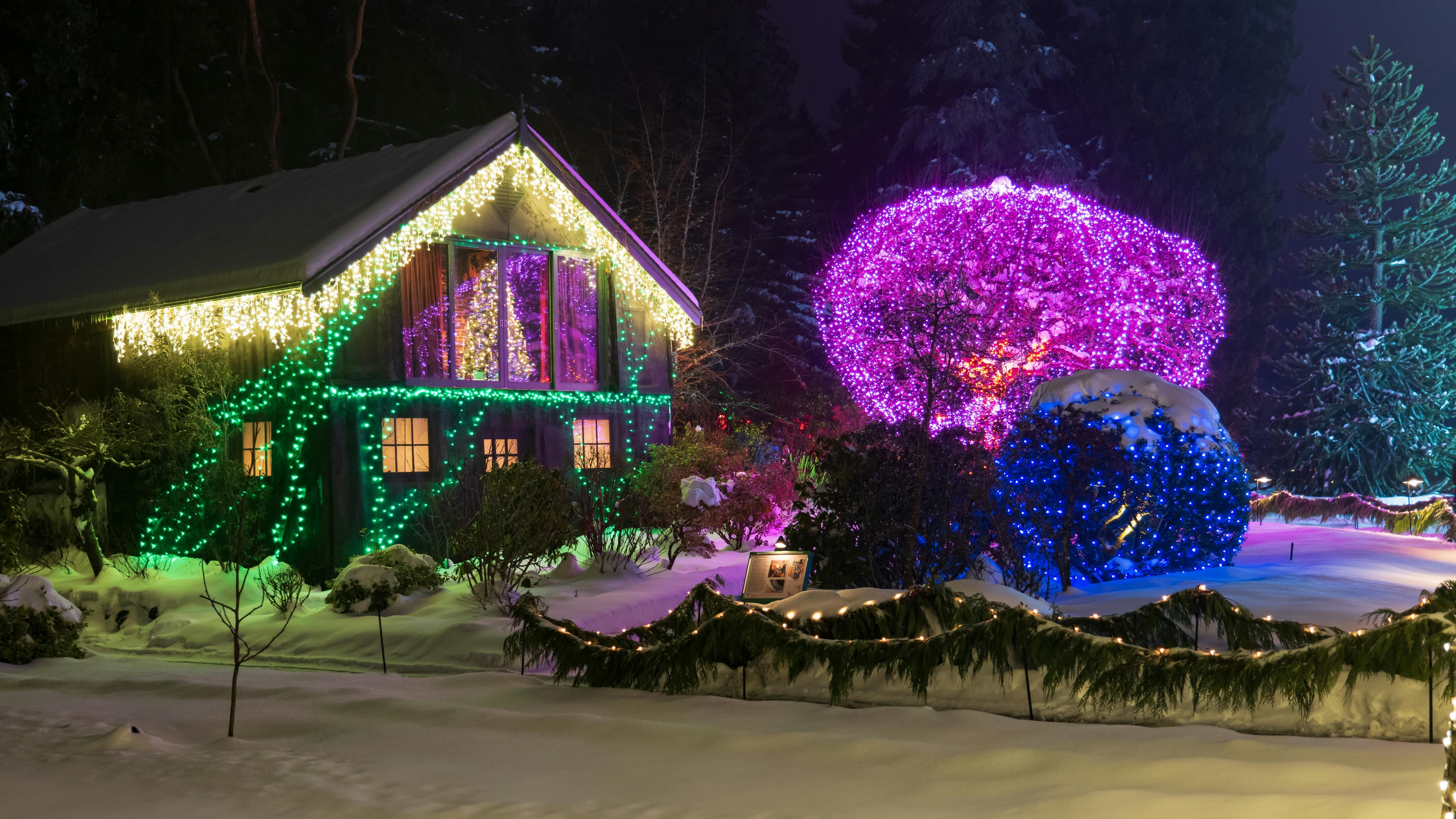 Light Up Lynnview